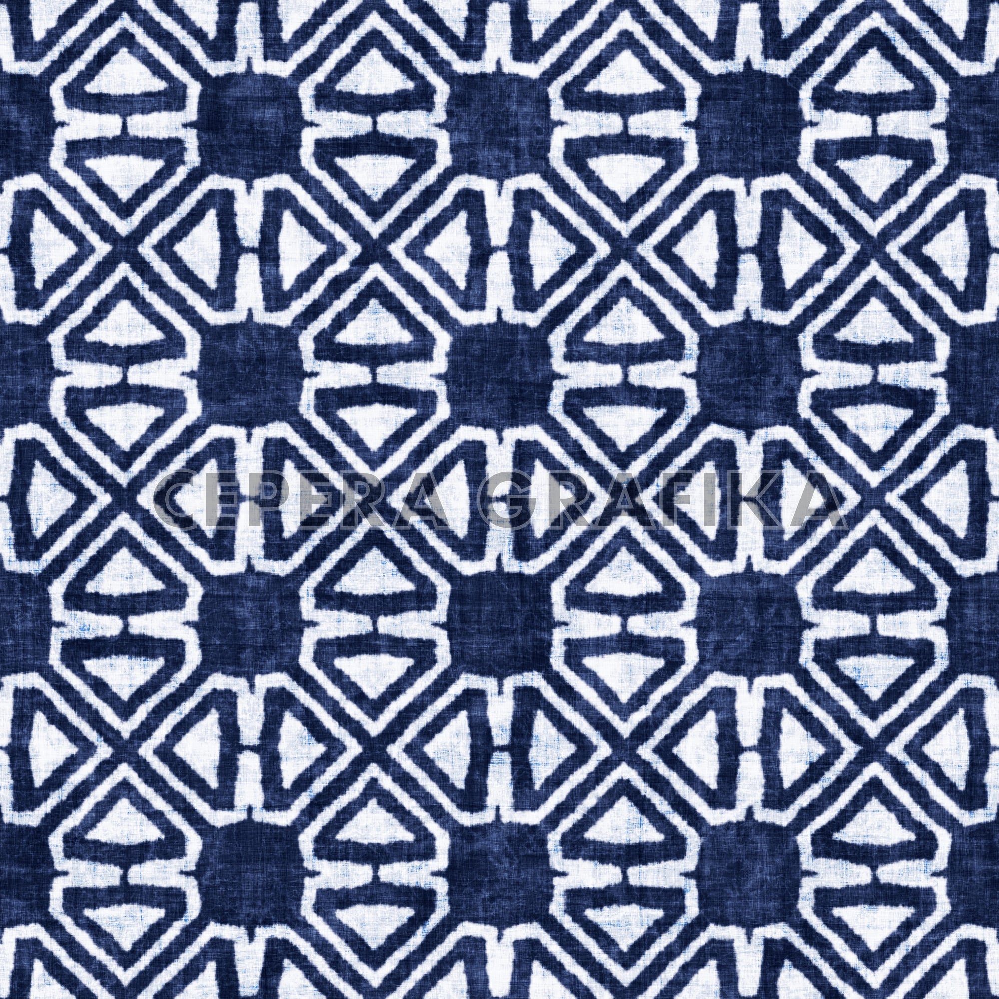 Indigo Snowflake Ethnic Ornate Pattern